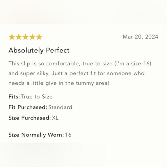 NWT Size S - Anthropologie Lace-Trimmed Reversible Slip Dress (NWT US$ 128) - Picture 13 of 16